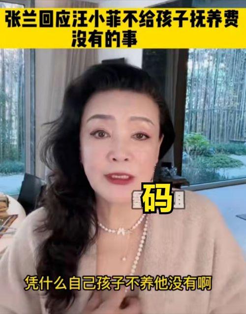美王妈妈爆料视频,独家幕后故事大公开  第3张
