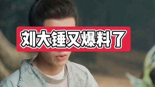 刘大锤爆料原话视频,揭秘原话视频背后的惊人真相 第2张 刘大锤爆料原话视频,揭秘原话视频背后的惊人真相 第2张